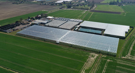 Another aerial view of E M Cole Farms site (2019)